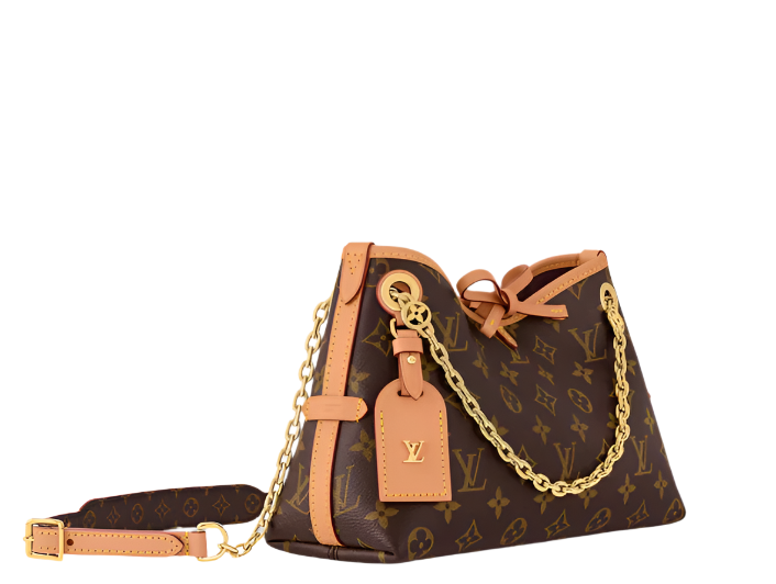 LV CarryAll BB Monogram