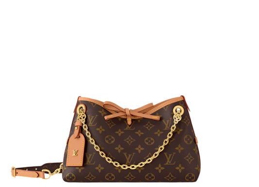 LV CarryAll BB Monogram